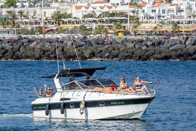 Tenerife Motor Boat Whale Watching & Snorkeling Experience - Watching pilot whales and dolphins in the wild