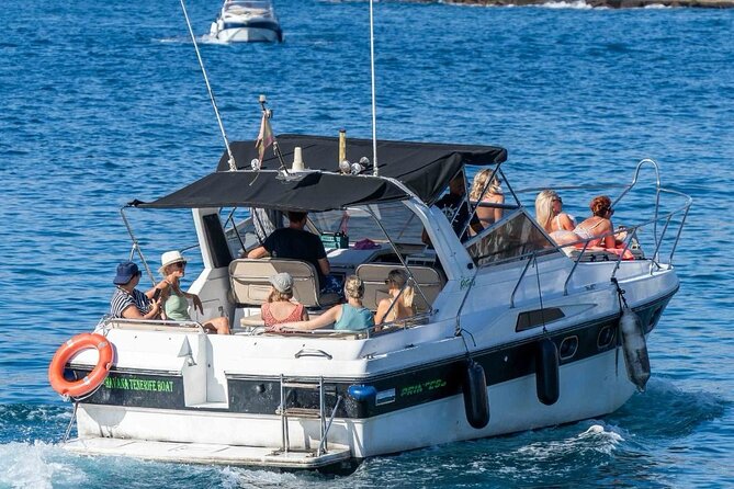 Tenerife Motor Boat Whale Watching & Snorkeling Experience - Who will enjoy this outing most?