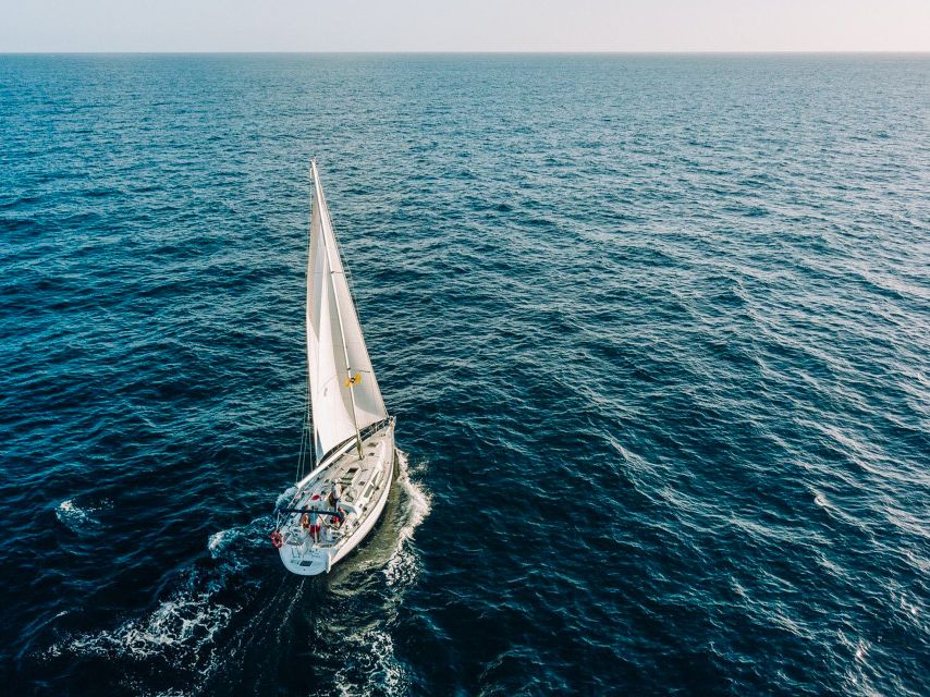 Tenerife: Sailboat Tour Whale Watching Food and Snorkeling - Key points to know before you book