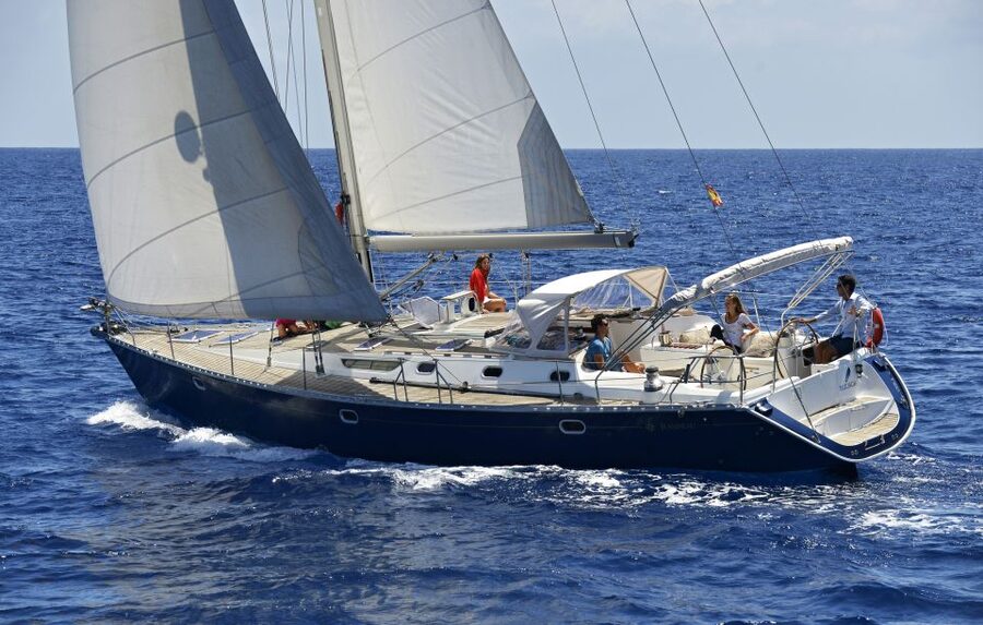 Tenerife: Sailing Excursion with Whale and Dolphin Watching - Why the whales make this three-hour trip special