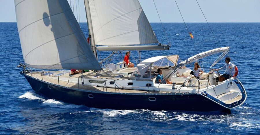 Tenerife: Sailing Excursion with Whale and Dolphin Watching - Watching pilot whales, dolphins, and turtles responsibly