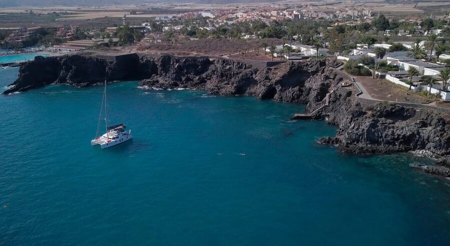 Tenerife: Whale and Dolphin Watching Boat Tour - What the small boat changes