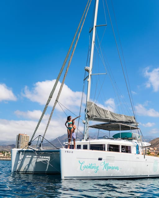 Tenerife: Whale and Dolphin Watching Boat Tour - Two hours in search of whales and dolphins