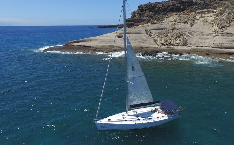 Tenerife: Whale and Dolphin Watching Tour by Sailboat - Watching whales and dolphins in the open Atlantic