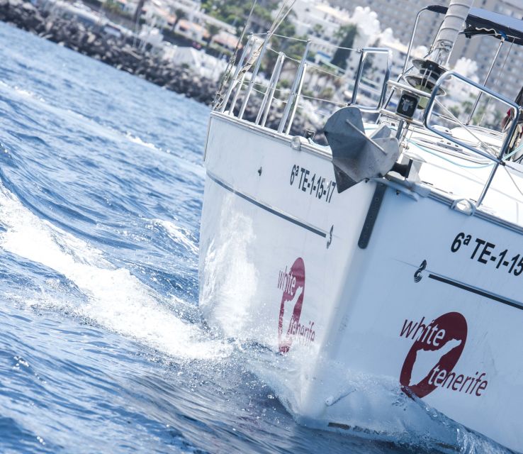 Tenerife: Whale and Dolphin Watching Tour by Sailboat - The swimming and snorkeling stop