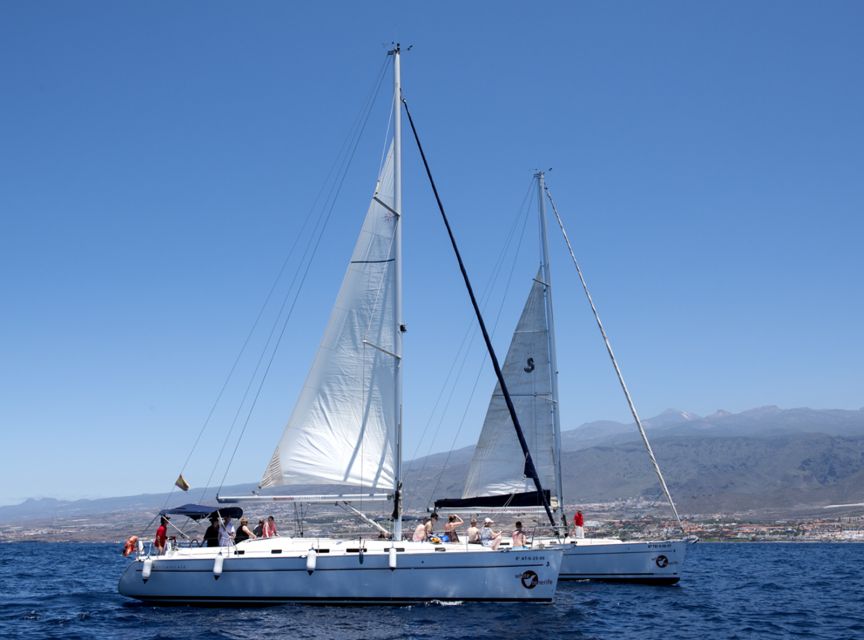 Tenerife: Whale and Dolphin Watching Tour by Sailboat - Food, drinks, and the onboard atmosphere
