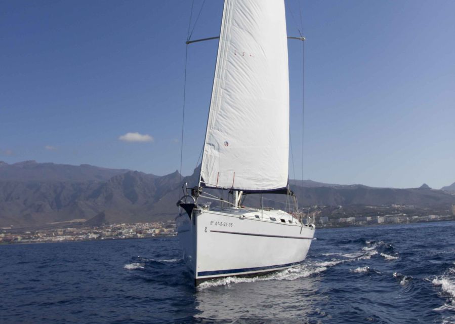 Tenerife: Whale and Dolphin Watching Tour by Sailboat - Leaving Puerto Colón for Costa Adeje