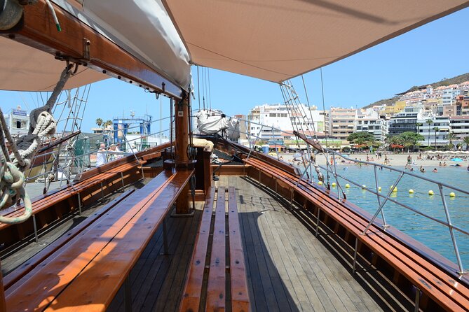 Tenerife: Whale and Dolphin Watching with a Plunge - Returning to Los Cristianos after two hours