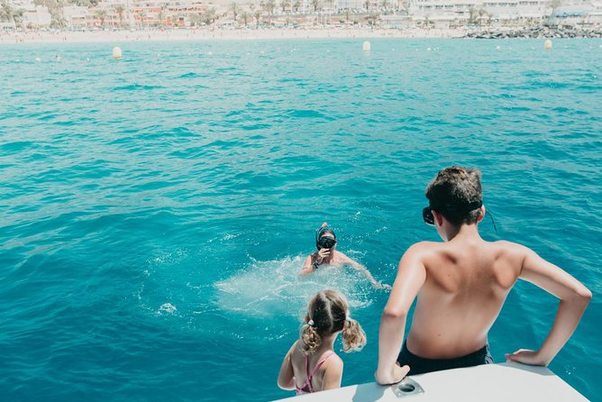 Tenerife: Whale and dolphin watching - Finding pilot whales and other marine life
