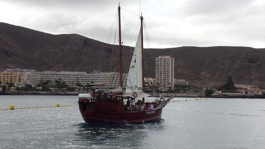 Tenerife: Whale & Dolphin Watching Cruise with Swim Stop - Key points to know before boarding