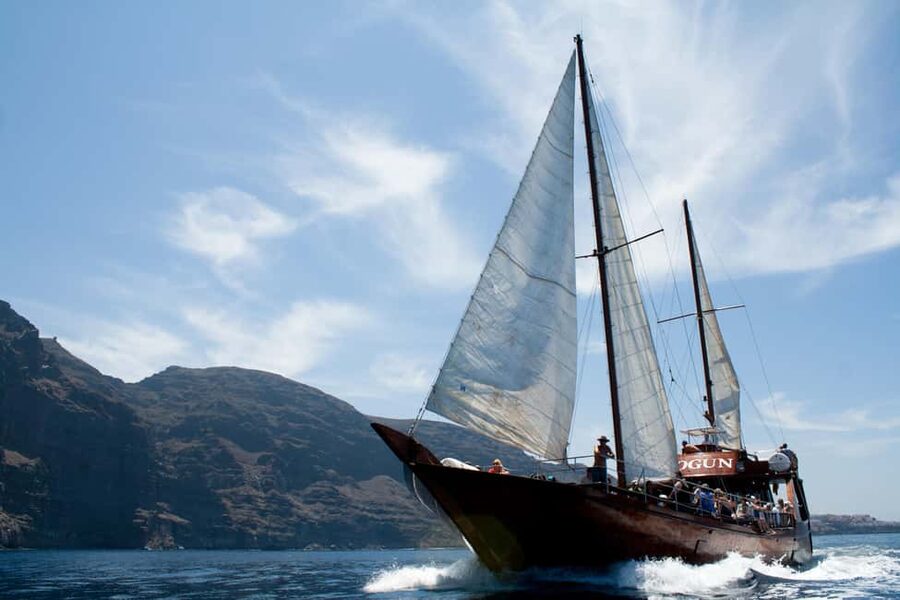 Tenerife: Whale & Dolphin Watching Cruise with Swim Stop - What the $29 price really covers
