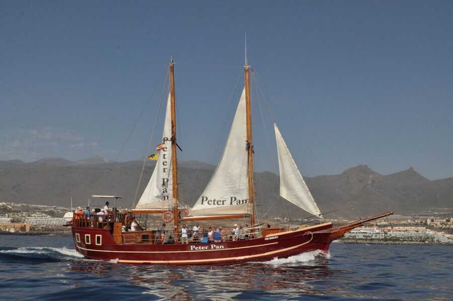 Tenerife: Whale & Dolphin Watching Cruise with Swim Stop - Practical packing advice for Peter Pan