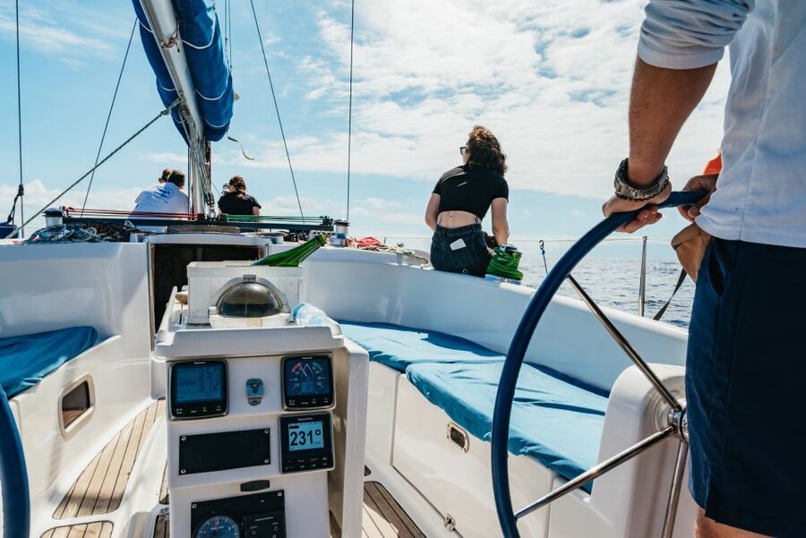 Tenerife: Whale & Dolphin Watching with Drinks and Snacks - Who should book this cruise?