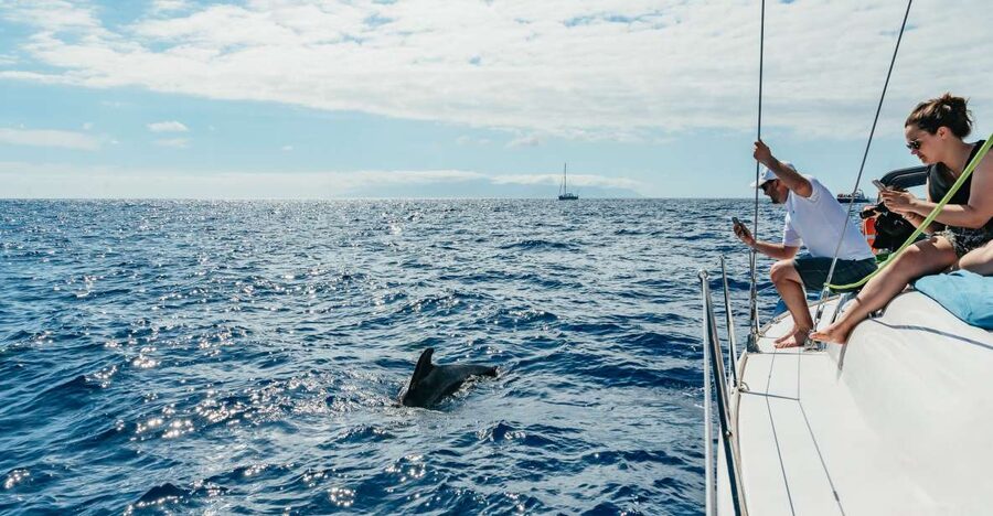 Tenerife: Whale & Dolphin Watching with Drinks and Snacks - Watching pilot whales and dolphins responsibly