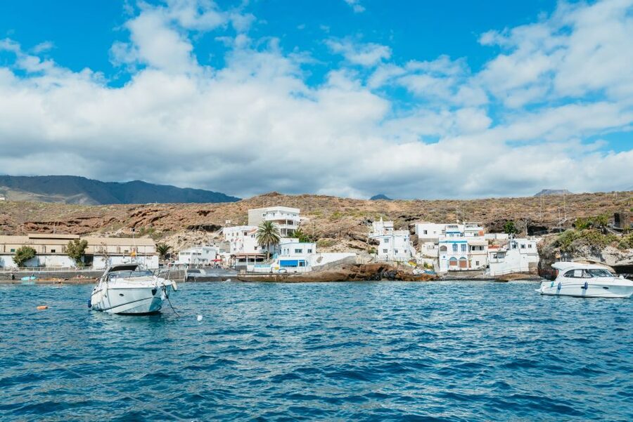 Tenerife: Whale & Dolphin Watching with Drinks and Snacks - What is served on board