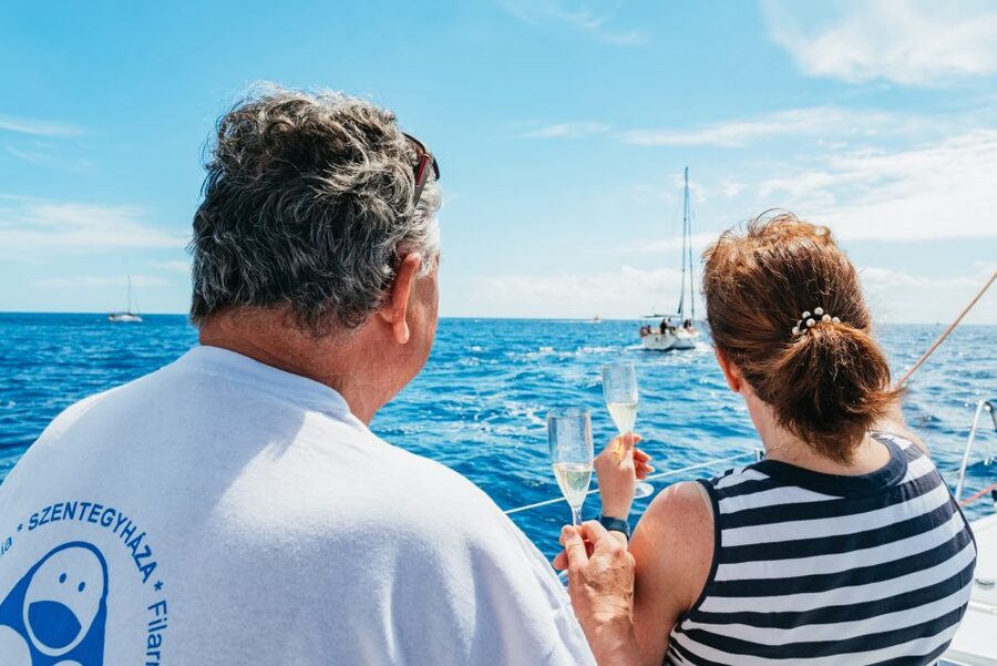 Tenerife: Whale & Dolphin Watching with Drinks and Snacks - Is $77 a fair price?