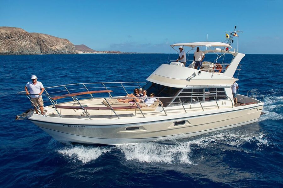 Tenerife: Whale tour and sea swim on a yacht for 22 people - Setting out from Los Cristianos on the Neptuno