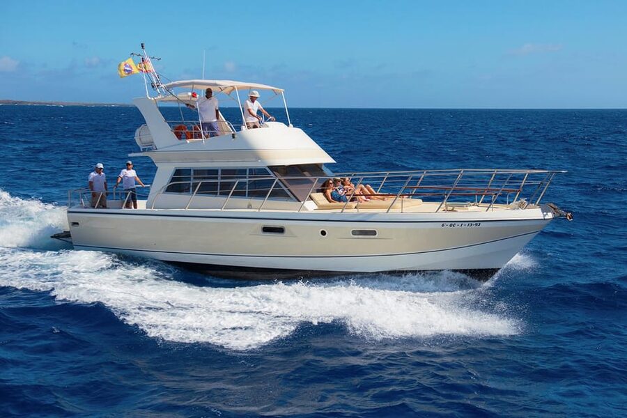 Tenerife: Whale tour and sea swim on a yacht for 22 people - Why Tenerife’s west coast attracts marine life