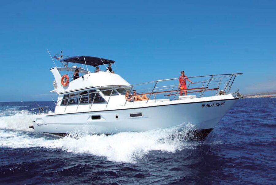 Tenerife: Whale tour and sea swim on a yacht for 22 people - The short sea swim near the cliffs
