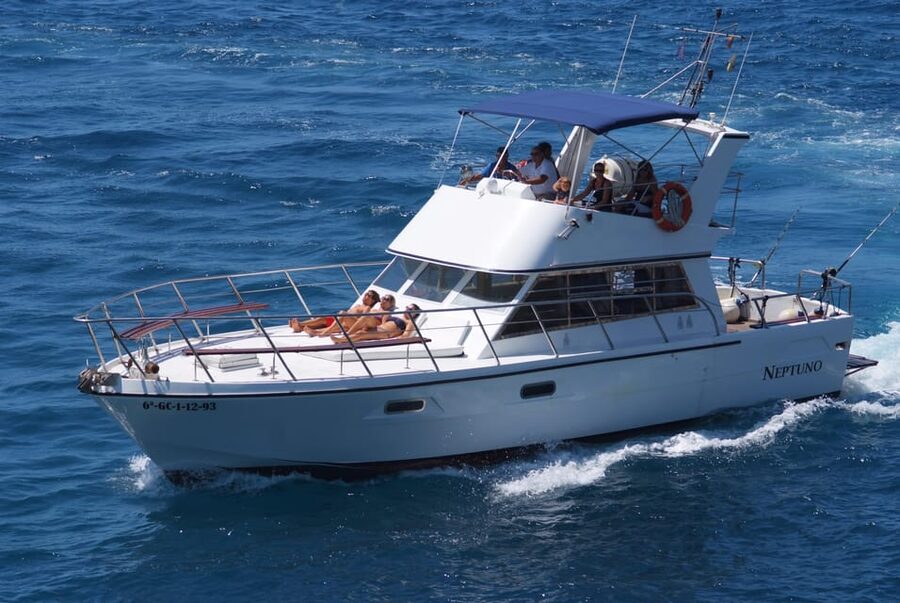 Tenerife: Whale tour and sea swim on a yacht for 22 people - Timing, language, and practical details