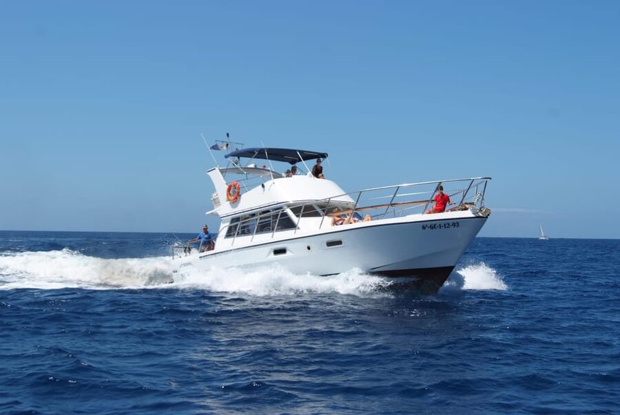 Tenerife: Whale tour and sea swim on a yacht for 22 people - Who will enjoy the Neptuno most