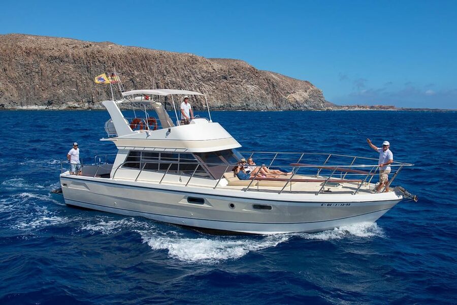 Tenerife: Whale tour and sea swim on a yacht for 22 people - Watching for dolphins, whales, and turtles