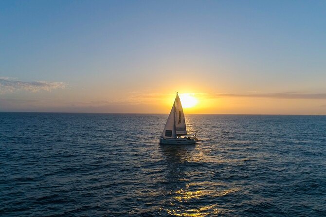 Tenerife Whale Watching and Snorkeling Yacht Trip - Who will enjoy this yacht trip most