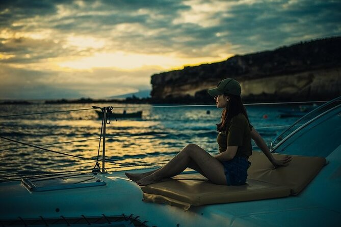 Tenerife Whale watching on private charter - Los Gigantes Cliffs, Masca Bay, and the coastal route