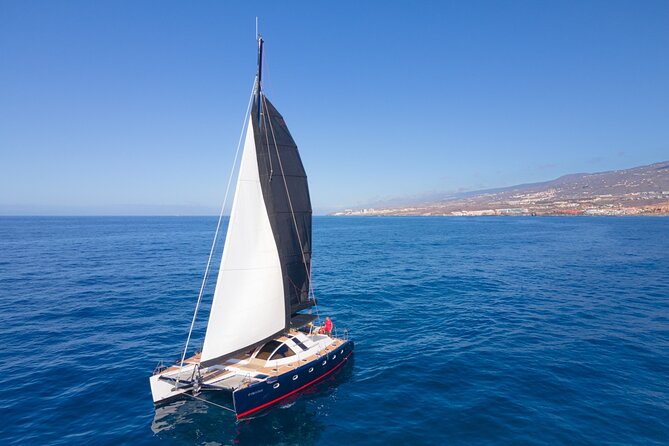 Tenerife Whale watching on private charter - Choosing three, six, or eight hours