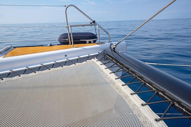 Tenerife Whales and Dolphins Watching Experience in Catamaran - Anchoring in a cove for swimming and snorkeling