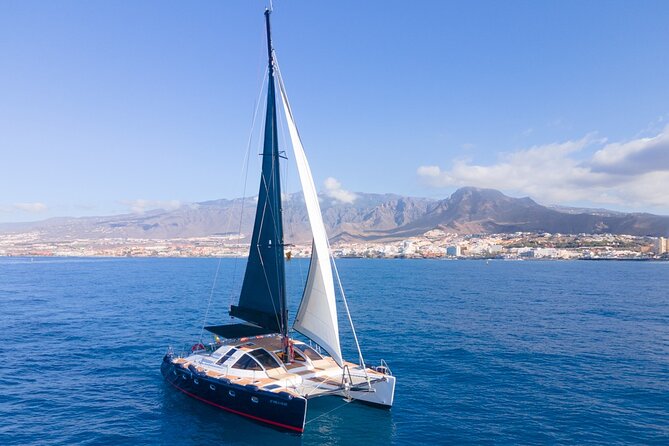 Tenerife Whales and Dolphins Watching Experience in Catamaran - Sandwiches, drinks, and a relaxed catamaran rhythm