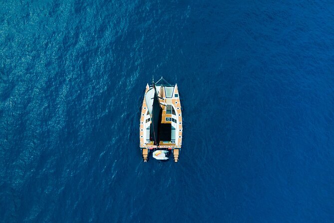 Tenerife Whales and Dolphins Watching Experience in Catamaran - Is $68.98 a fair price?