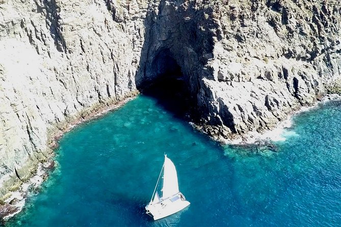 Tenerife Whales and Dolphins Watching Experience in Catamaran - Booking, weather, and practical details