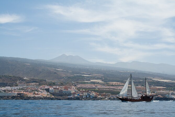 Tenerife : Whales and Dolphins with Food and Bath in Los Gigantes - Leaving Puerto Colón at noon