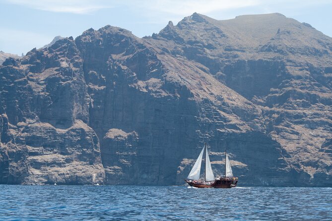 Tenerife : Whales and Dolphins with Food and Bath in Los Gigantes - Is $66.42 good value?
