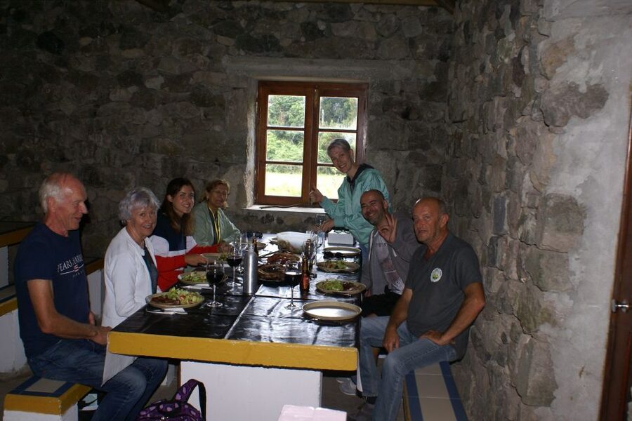 Terceira Island Whale Watching and Jeep Tour - Lagoons, Swimming Stops, and Optional Caves