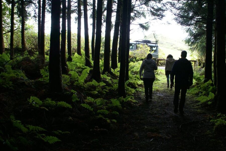 Terceira Island Whale Watching and Jeep Tour - Homemade Lunch at the Company’s Place