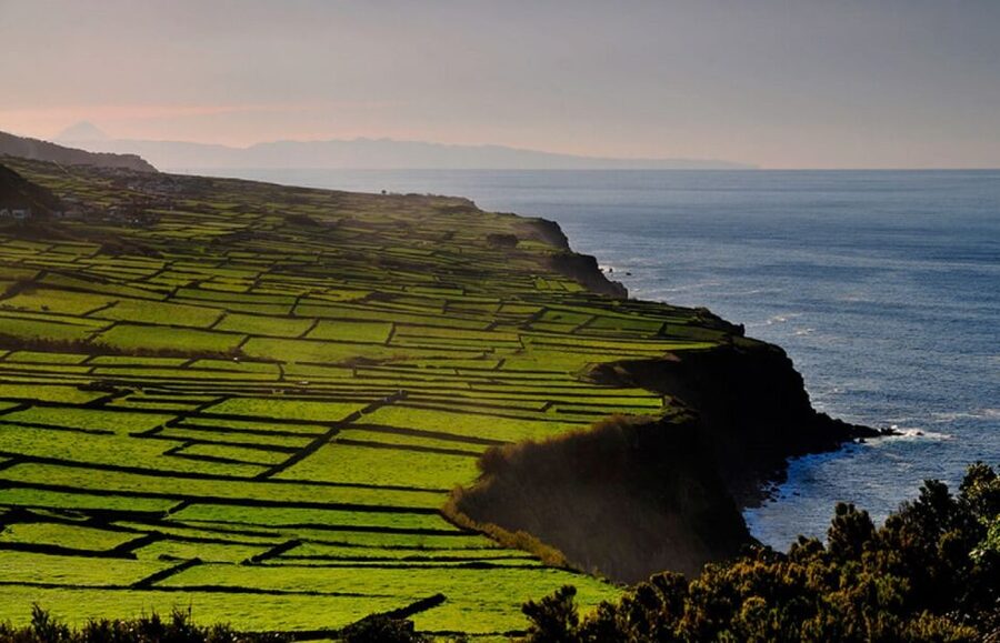Terceira Island Whale Watching and Jeep Tour - Practical Tips for a Smoother Eight Hours