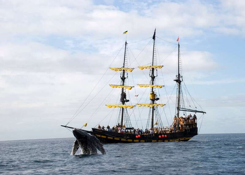 Thar She Blows! Whale Watching Pirate Cruise - Los Arcos, Lovers Beach, and Pelican Rock from the water