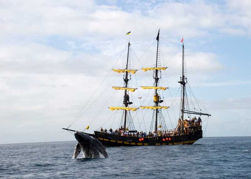 Thar She Blows! Whale Watching Pirate Cruise - Small details that make the morning easier