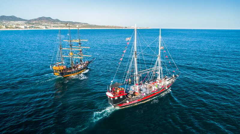 Thar She Blows! Whale Watching Pirate Cruise - Should you book the Thar She Blows cruise?