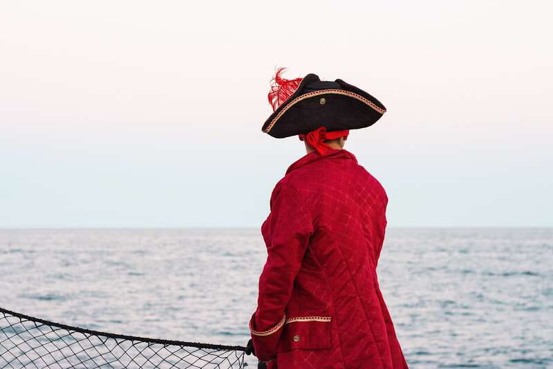 Thar She Blows! Whale Watching Pirate Cruise - Watching for whales in the Gulf of California