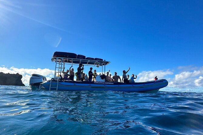 The Best 10 am 1.5 Hour Whale Watching Tour - The hydrophone is more than a small extra