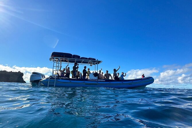 The Best 2.5 Hour Molokini Snorkel Tour & Whale Watch - Crew style can shape the whole outing