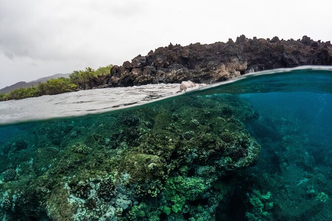 The Best 2.5 Hour Molokini Snorkel Tour & Whale Watch - What the $169.59 price really buys you