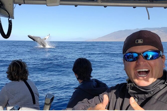 The Best 8 am 1.5 Hour Whale Watching Tour - Why the 8 am departure makes sense