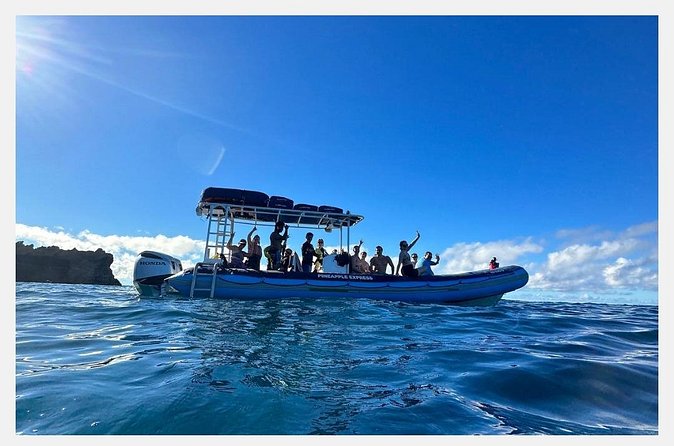 The Best 8 am 1.5 Hour Whale Watching Tour - Weather, cancellations, and practical limits