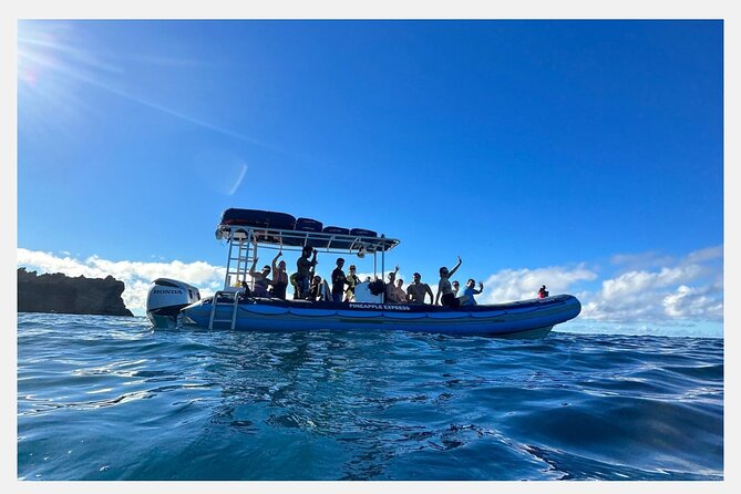 The Best 8 am 1.5 Hour Whale Watching Tour - Who will enjoy this Maui whale watch most