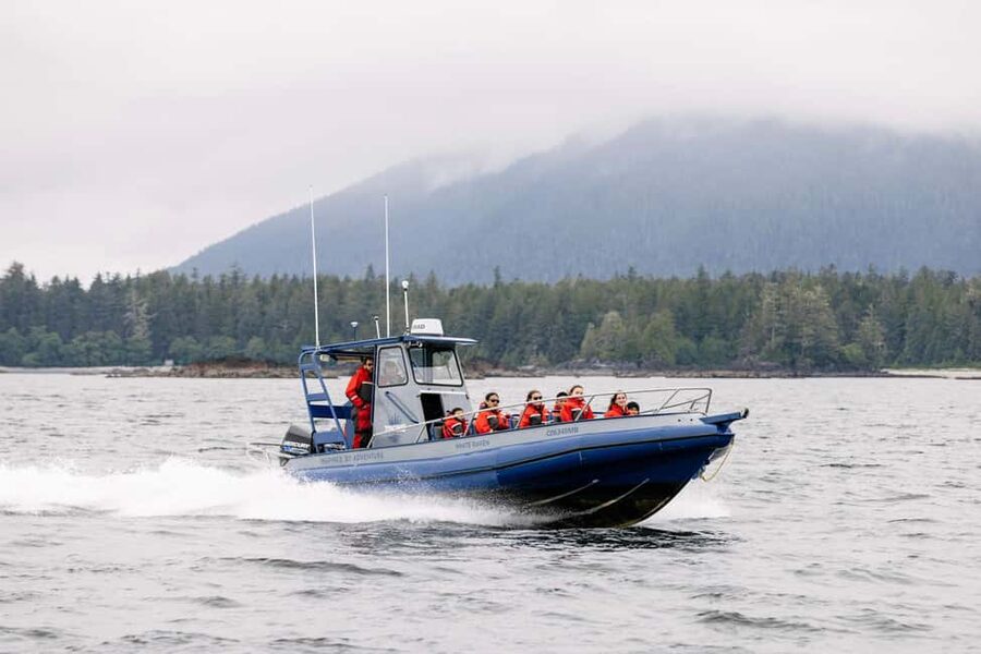 Tofino: Whale Watching Tour with Nature Guide - Choosing between the Whiteraven and Blackfish