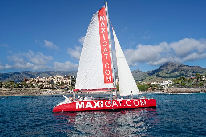 Tour with Whale and Dolphin Watching plus food included - What This Three-Hour Catamaran Cruise Is Really Like